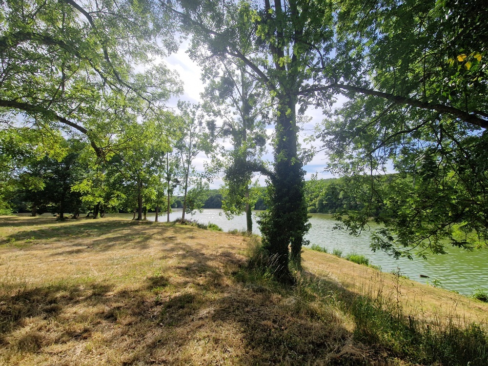 Photo du bien